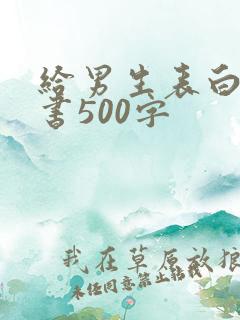 给男生表白的情书500字