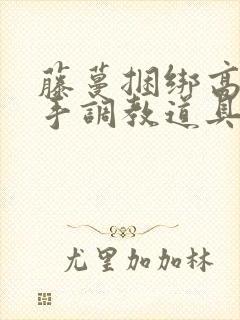 藤蔓捆绑高潮触手调教道具女