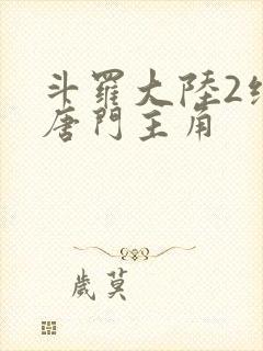 斗罗大陆2绝世唐门主角