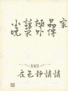 小说极品家丁林晚荣外传