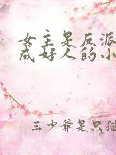 女主是反派却装成好人的小说