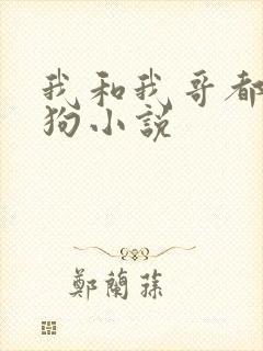 我和我哥都是舔狗小说