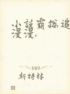 小说霸总追妻路漫漫,