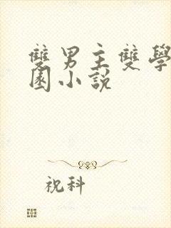 双男主双学霸校园小说