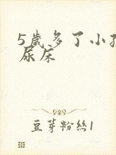 5岁多了小孩光尿床