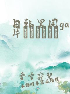 日韩男同gay片あなたはワン