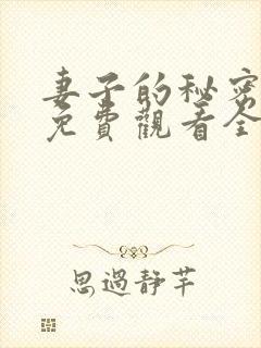 妻子的秘密日剧免费观看全集