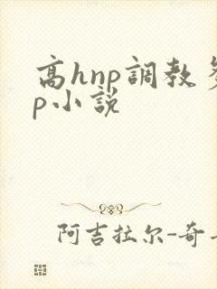 高hnp调教多p小说