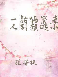 一胎俩宝老婆大人别想逃小说免费阅读