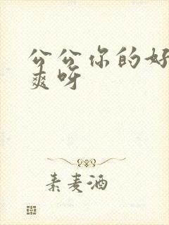 公公你的好大好爽呀