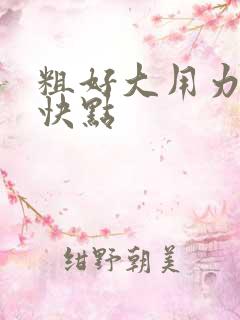 粗好大用力好深快点