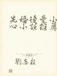 先婚后爱小说虐心小说推荐古言