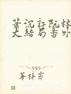 萧沉许阮林依然大结局番外