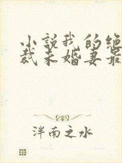 小说我的绝色总裁未婚妻最新章节