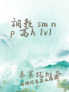 调教 sm np 高h 1v1