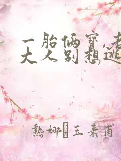 一胎俩宝,老婆大人别想逃有声