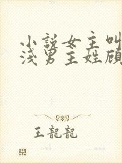 小说女主叫苏浅浅男主姓顾