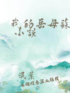 我的岳母苏沛真 小说