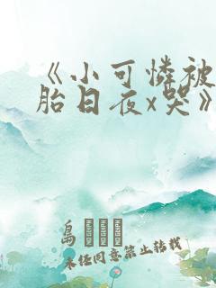 《小可怜被双胞胎日夜x哭》