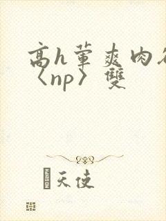 高h荤爽肉欲文〈np〉双