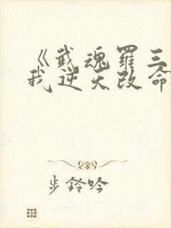 《武魂罗三炮,我逆天改命》