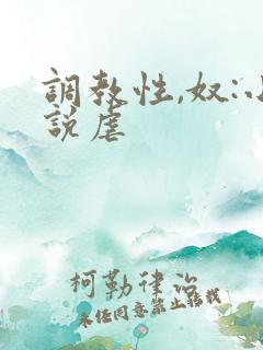 调教性,奴:小说虐