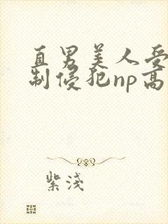 直男美人受被强制侵犯np高h