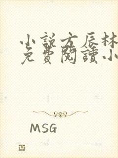 小说方辰林雪妍免费阅读小说