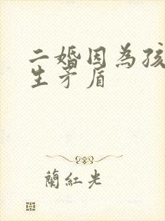 二婚因为孩子发生矛盾