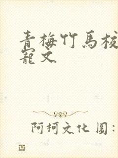 青梅竹马校园甜宠文