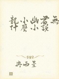 龙小幽君无邪是什么小说