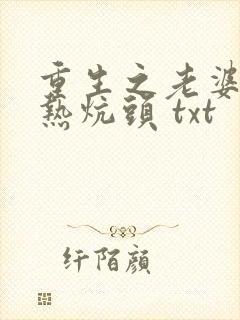 重生之老婆孩子热炕头 txt