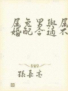 属兔男与属马女婚配合适不