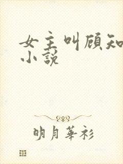 女主叫顾知意的小说