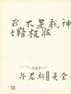 我不是戏神txt精校版