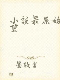 小说最原始的欲望