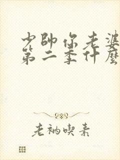 少帅你老婆跑了第二季什么时候出