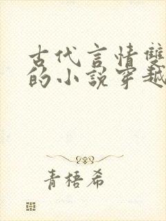 古代言情双男主的小说穿越