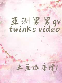 亚洲男男gv twinks video