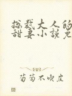 总裁大人的影后甜妻小说免费阅读全本