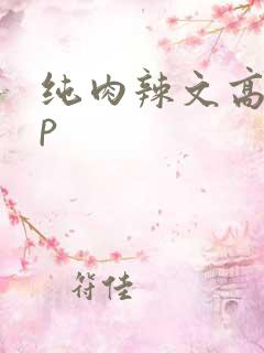 纯肉辣文高hnp