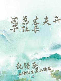 因为丈夫升职妻子社长