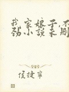 我家娘子,不对劲小说未删版完整