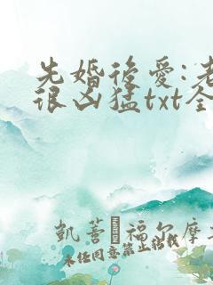 先婚后爱:老公很凶猛txt全文下载