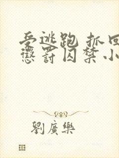 受逃跑 抓回 惩罚囚禁小说