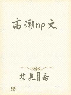 高潮np文