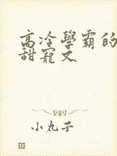 高冷学霸的校园甜宠文