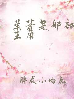 叶萧是哪部小说主角