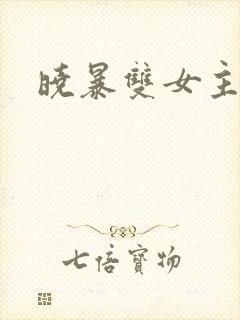 晓暴双女主小说