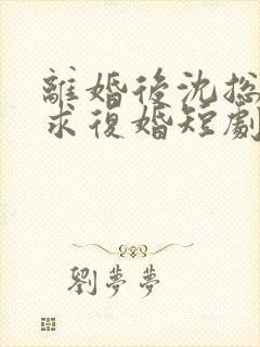 离婚后沈总天天求复婚短剧免费观看